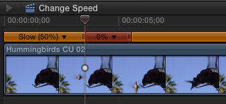speed014